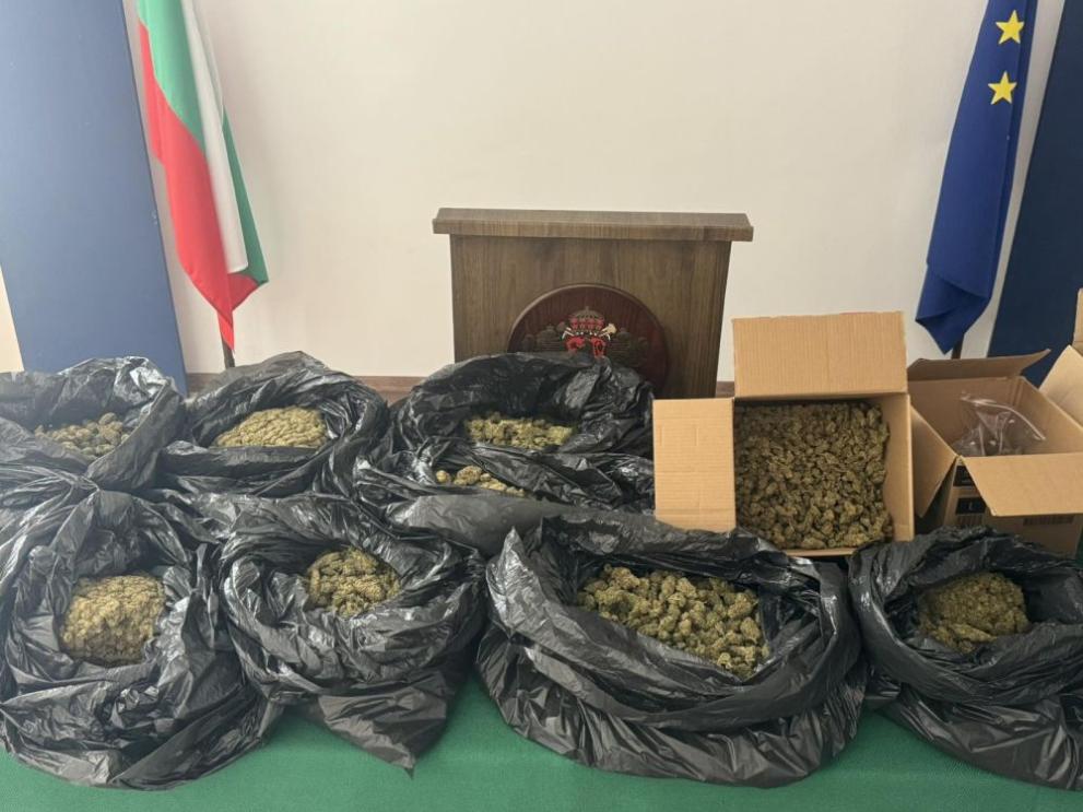 Откриха и иззеха голямо количество марихуана при акция във Варна