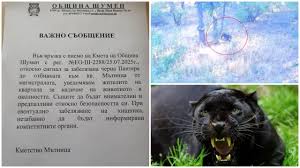 Леопардът се завърна, забелязан е край шуменски жилищен квартал